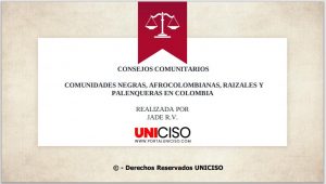 CONSEJOS COMUNITARIOS