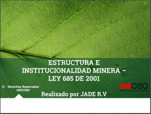 ESTRUCTURA E INSTITUCIONALIDAD MINERA