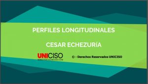PERFILES LONGITUDINALES