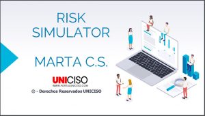 RISK SIMULATOR