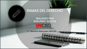 RAMAS DEL DERECHO