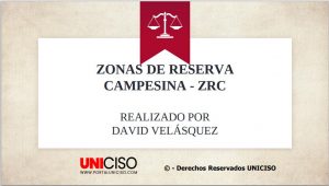 ZONAS DE RESERVA CAMPESINAS EN COLOMBIA