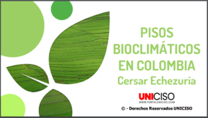 PISOS BIOCLIMÁTICOS