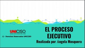 PROCESO EJECUTIVO