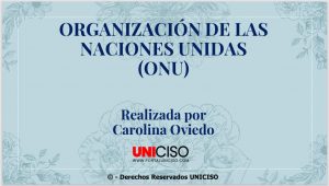 ORGANIZACIÓN DE LAS NACIONES UNIDAS (ONU)