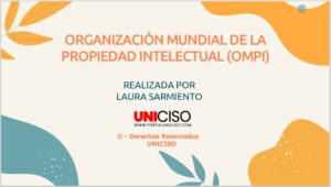 ORGANIZACIÓN MUNDIAL DE LA PROPIEDAD INTELECTUAL (OMPI)