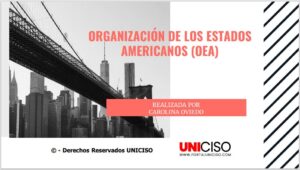 ORGANIZACIÓN DE LOS ESTADOS AMERICANOS (OEA)