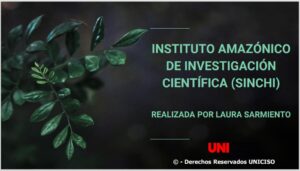 INSTITUTO AMAZÓNICO DE INVESTIGACIÓN CIENTÍFICA (SINCHI)