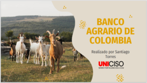 BANCO AGRARIO DE COLOMBIA