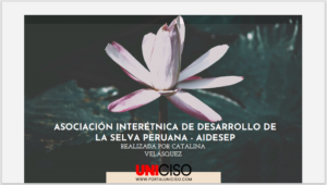 ASOCIACIÓN INTERÉTNICA DE DESARROLLO DE LA SELVA PERUANA - AIDESEP