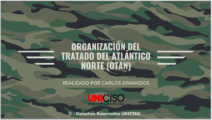 ORGANIZACIÓN DEL TRATADO DEL ATLÁNTICO NORTE (OTAN)