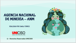 AGENCIA NACIONAL DE MINERÍA - ANM