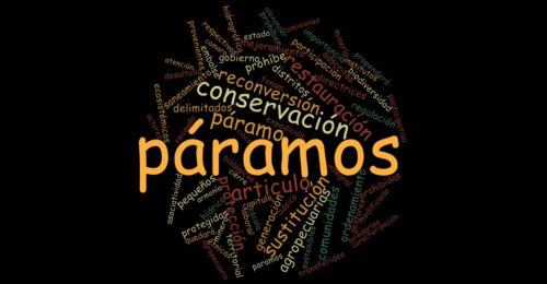 Consulta de frecuencia de palabras
