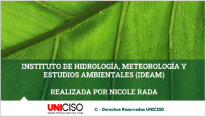 INSTITUTO DE HIDROLOGÍA, METEOROLOGÍA Y ESTUDIOS AMBIENTALES - IDEAM