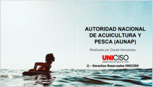 AUTORIDAD NACIONAL DE ACUICULTURA Y PESCA (AUNAP)