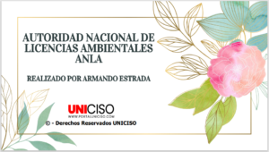 AUTORIDAD NACIONAL DE LICENCIAS AMBIENTALES - ANLA
