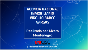 AGENCIA NACIONAL INMOBILIARIO VIRGILIO BARCO VARGAS