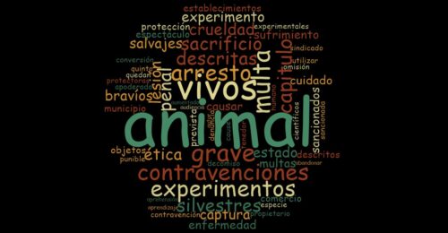 Consulta de frecuencia de palabras