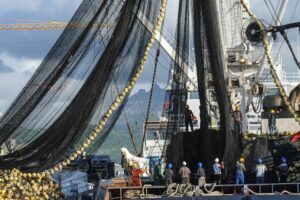 LEY 1851 DE 2017 - PESCA ILEGAL
