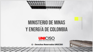 MINISTERIO DE MINAS Y ENERGÍA
