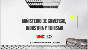 MINISTERIO DE COMERCIO,INDUSTRIA Y TURISMO