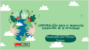 CORPORACIÓN AUTÓNOMA REGIONAL DE LA ORINOQUIA