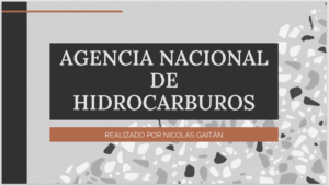 AGENCIA NACIONAL DE  HIDROCARBUROS