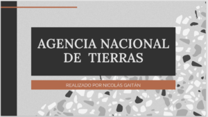 AGENCIA NACIONAL DE  TIERRAS
