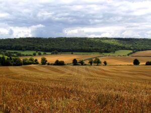 DECRETO 2113 DE 2017 – DESARROLLO RURAL