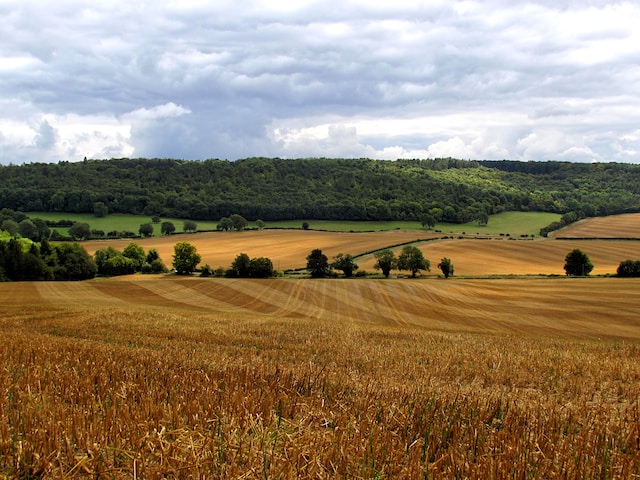 DECRETO 2113 DE 2017 – DESARROLLO RURAL