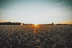 DECRETO 1567 DE 2014 - PACTO NACIONAL POR EL AGRO Y EL DESARROLLO RURAL