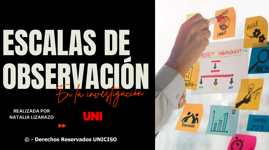 ESCALAS DE OBSERVACIÓN EN LA INVESTIGACIÓN