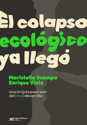 MARISTELLA SVAMPA