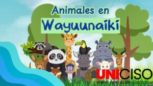 VÍDEO ANIMALES EN WAYUUNAIKI