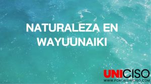 VÍDEO NATURALEZA EN WAYUUNAIKI