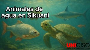 VÍDEO ANIMALES DE AGUA EN SIKUANI