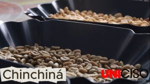 CHINCHINÁ, CALDAS - VÍDEO