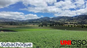 MICROPODCAST - SUBACHOQUE Y SU CULTURA