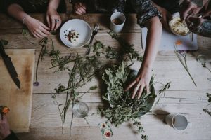 AUDIOS - PLANTAS MEDICINALES