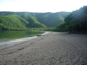 BANCO DE IMAGEN - BAHIA CONCHA